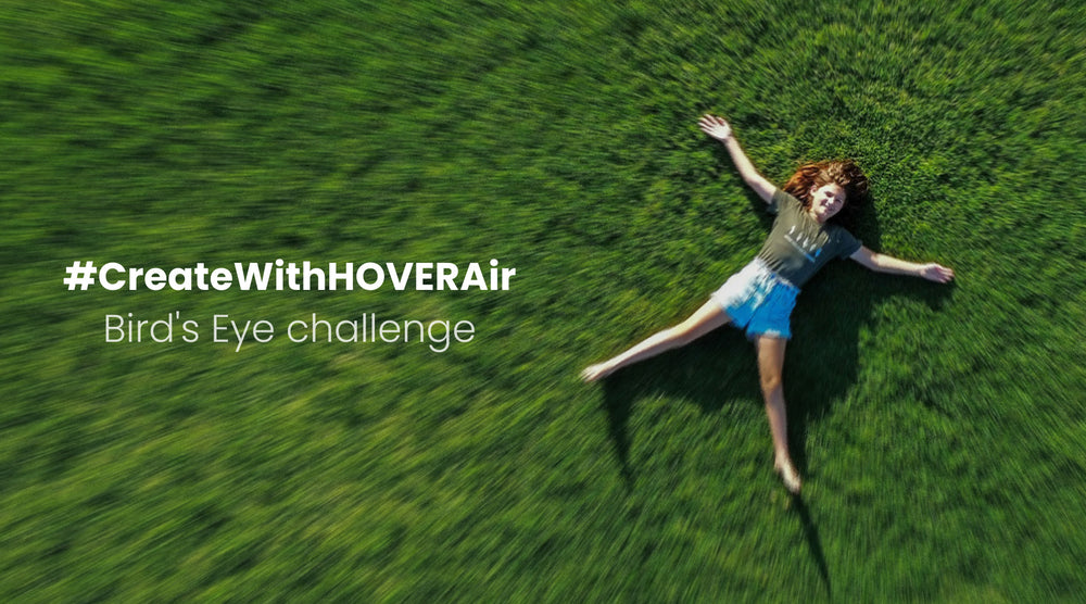 Look Down, Look Closer, Look with Bird’s Eye