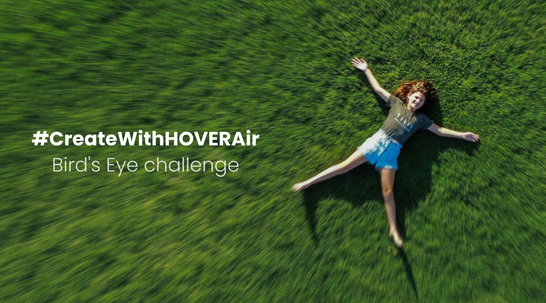 Look Down, Look Closer, Look with Bird’s Eye