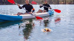 8 Common Canoeing Mistakes Every Beginner Should Avoid