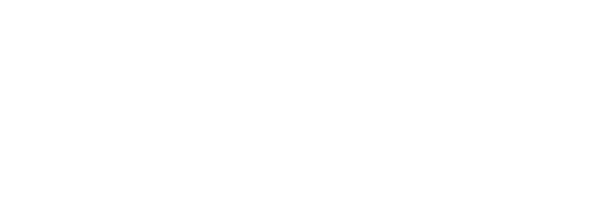 <p>Official flying camera of FIS</p>