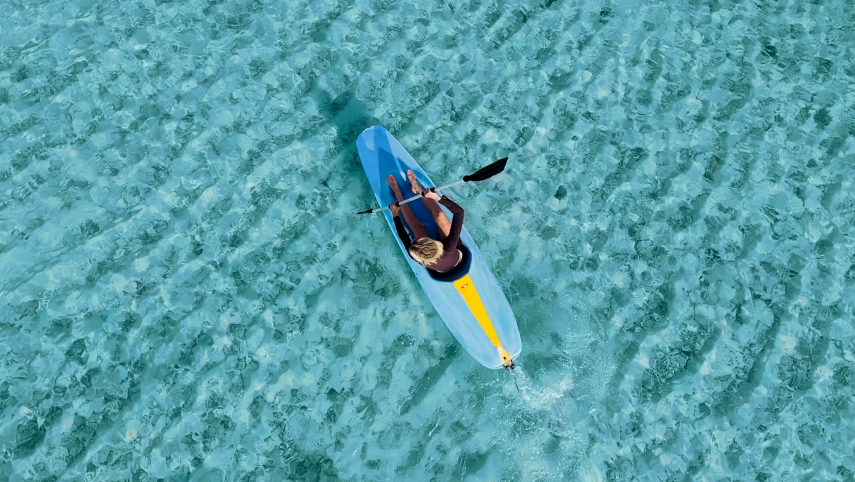 Bird's Eye — HOVERAir AQUA