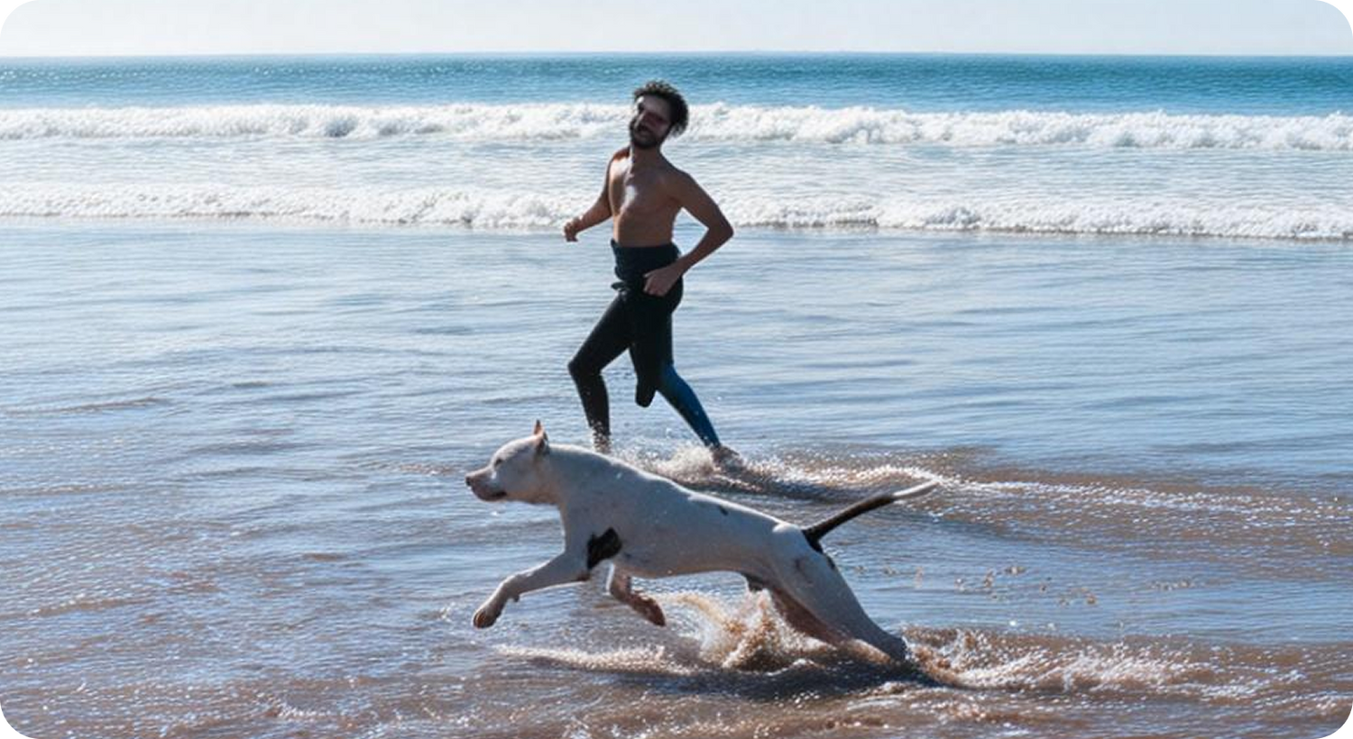 Man running with dog on a beach